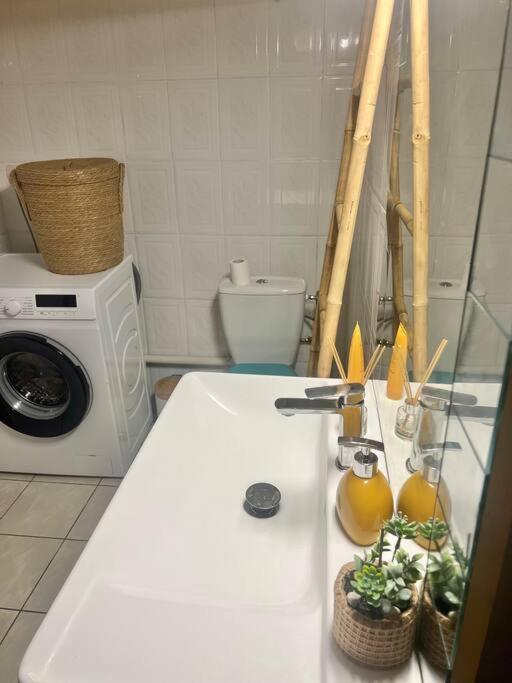 Apartament Beau T2 En Rez De Jardin Saint-Denis Zewnętrze zdjęcie